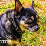 IMG_20171003_220244_341